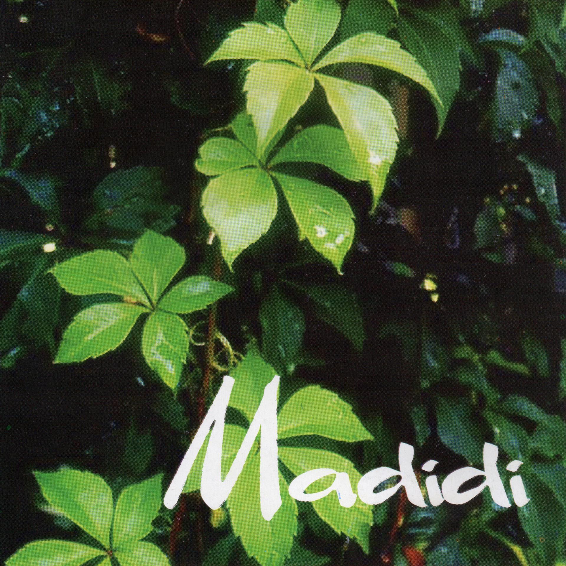 Постер альбома Madidi
