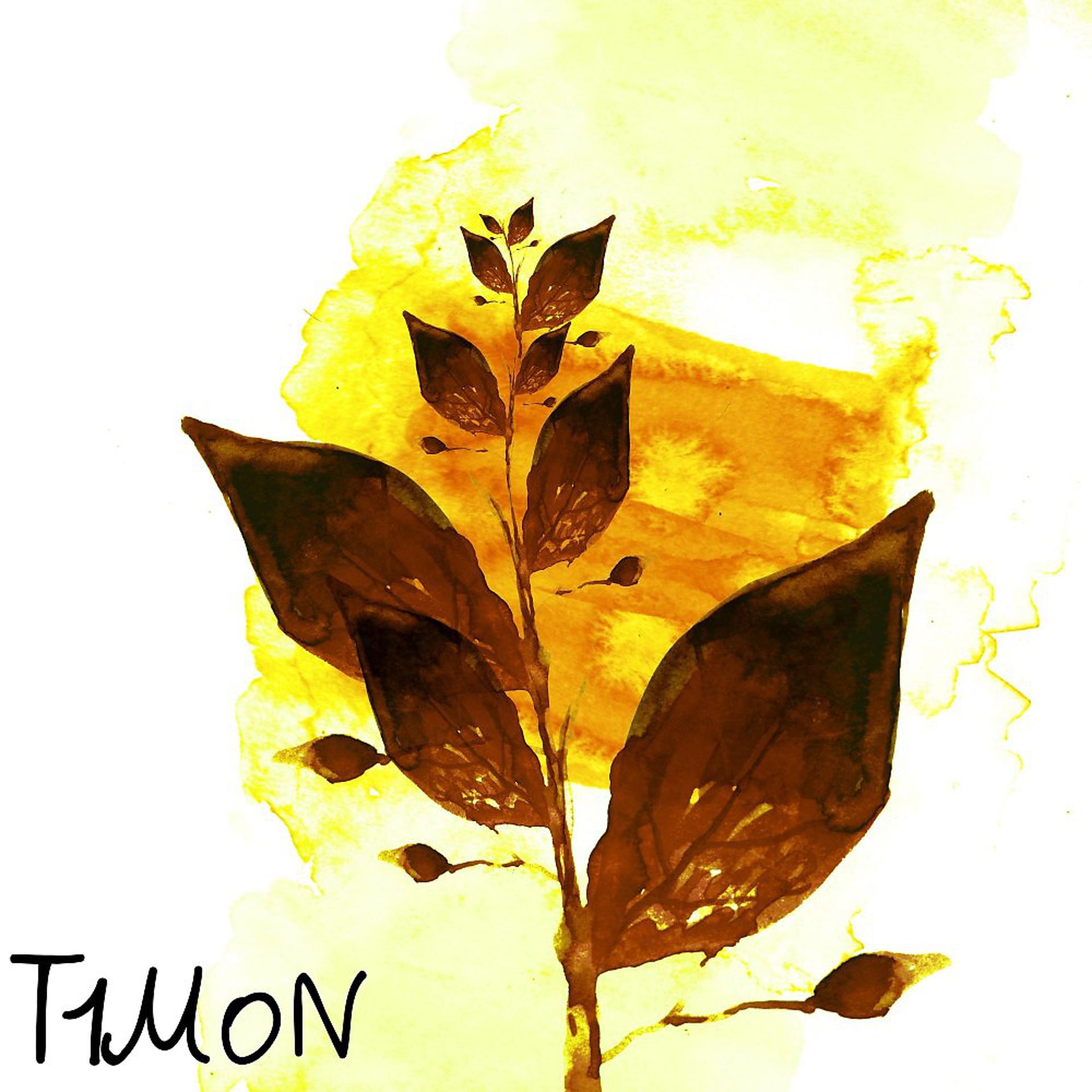 Постер альбома Желтые листья