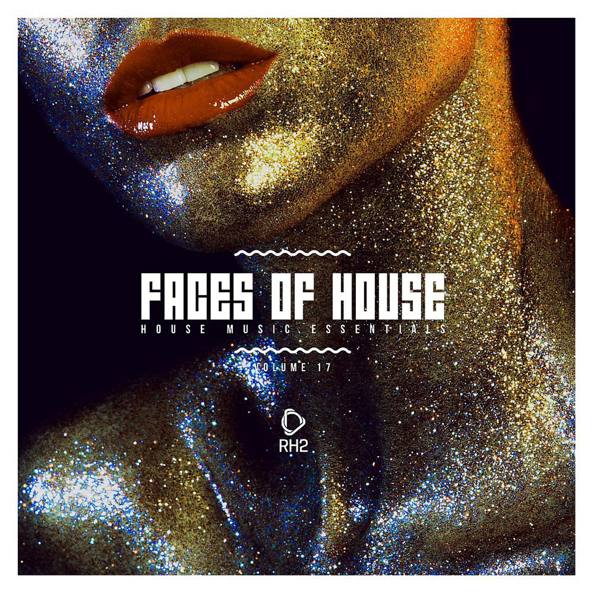 Постер альбома Faces of House, Vol. 17