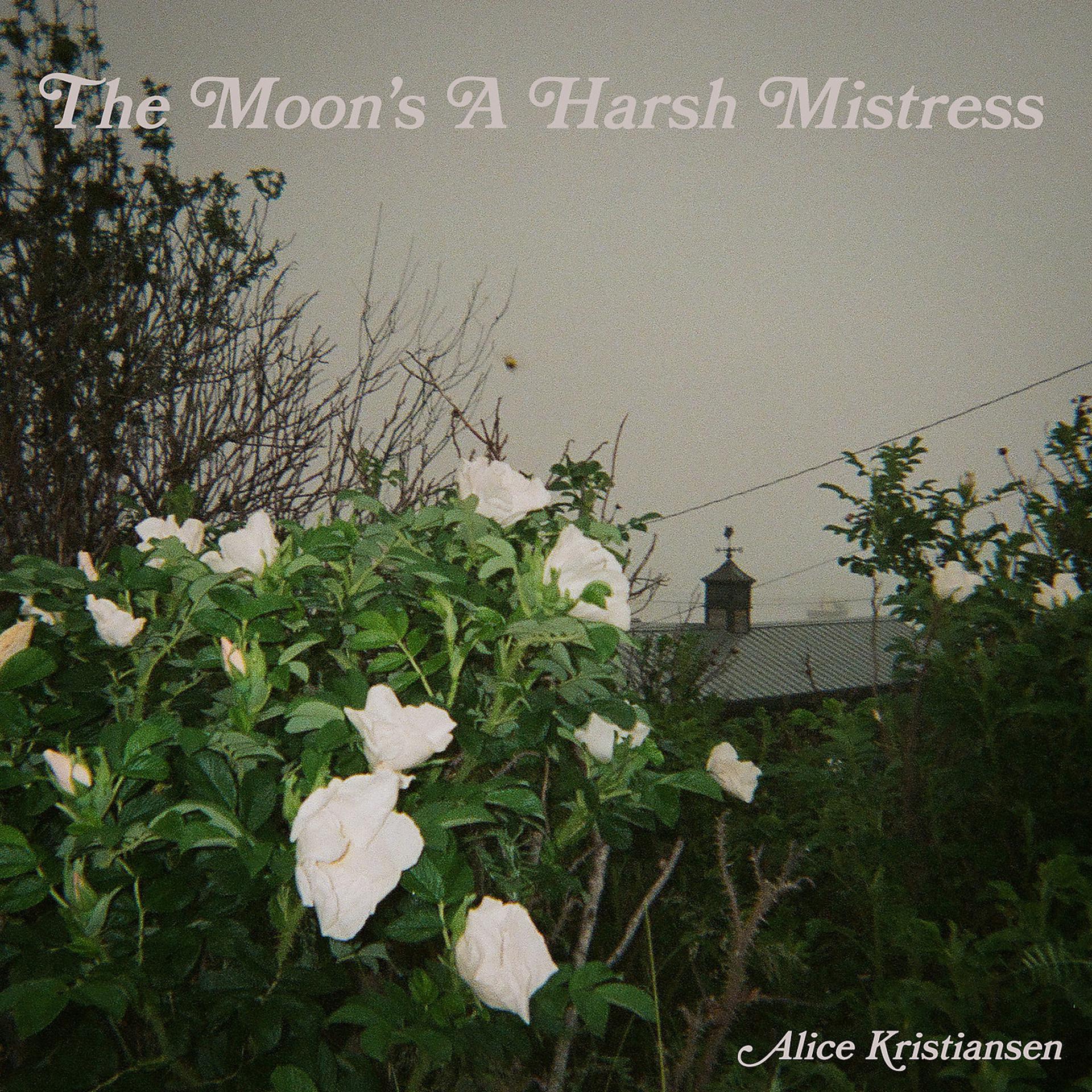 Постер альбома The Moon's a Harsh Mistress