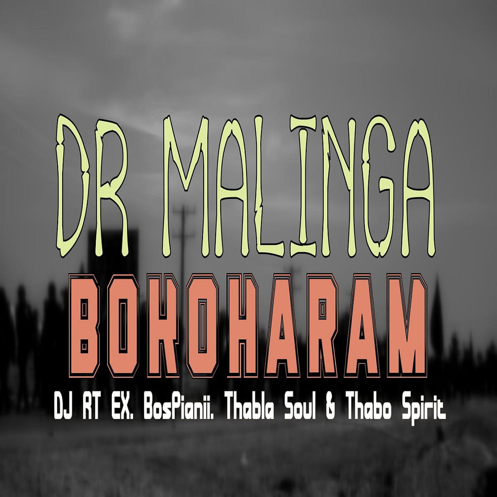Постер альбома Bokoharam