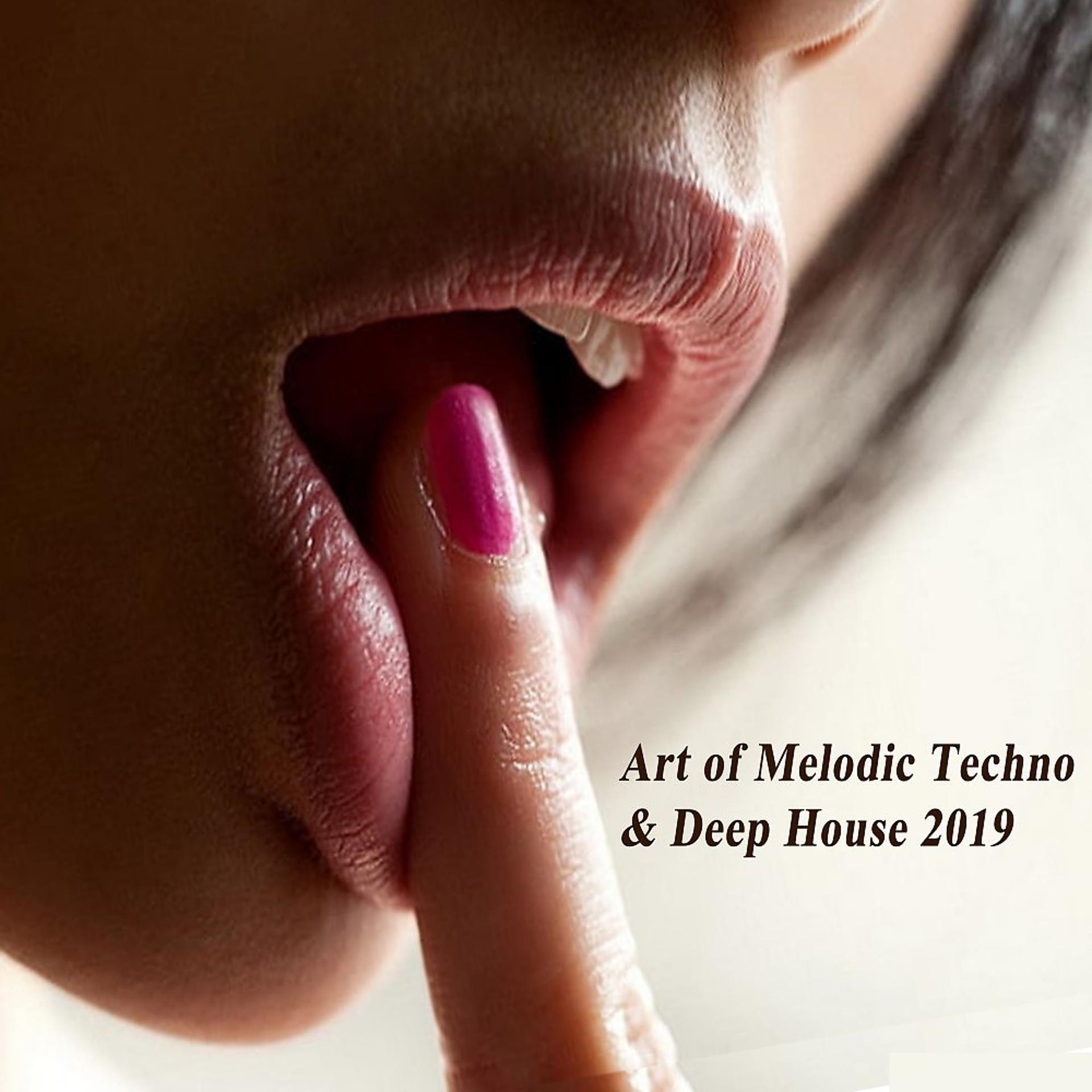 Постер альбома Art of Melodic Techno & Deep House 2019