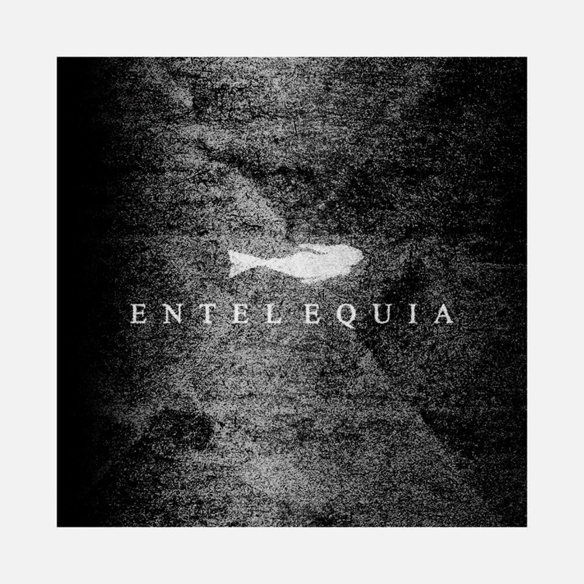 Постер альбома Entelequia