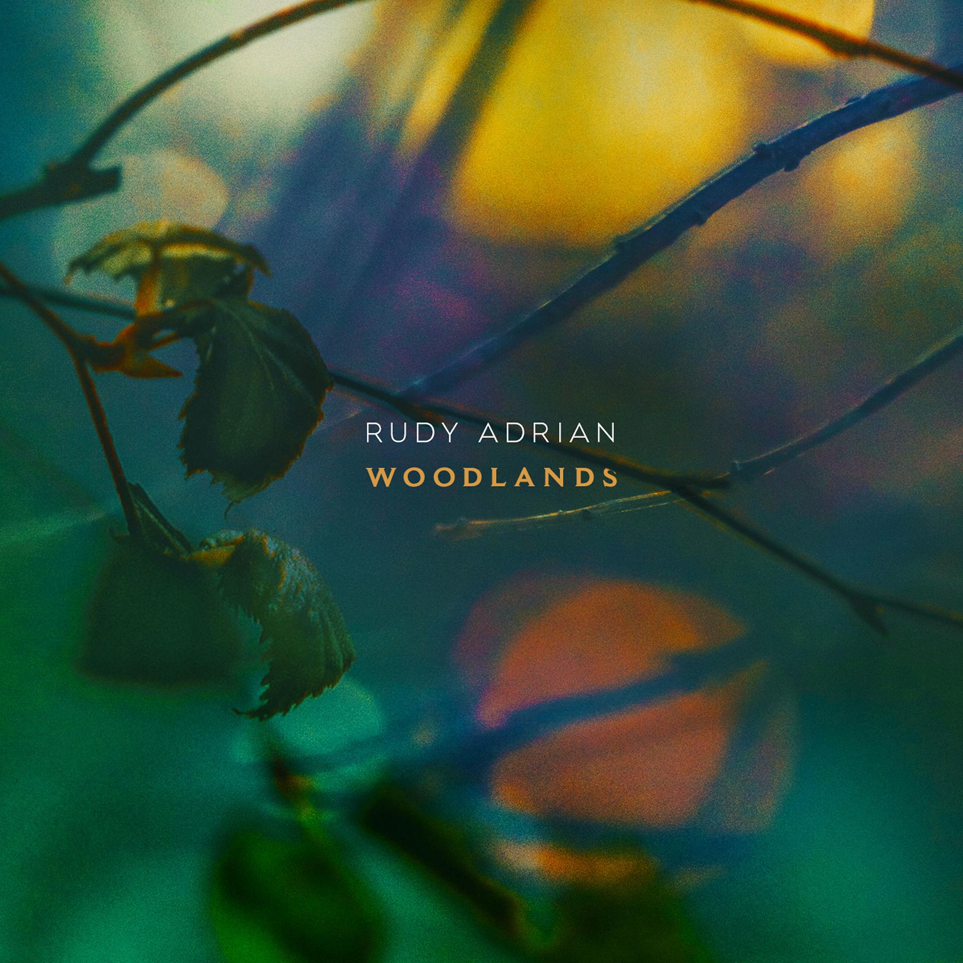 Постер альбома Woodlands