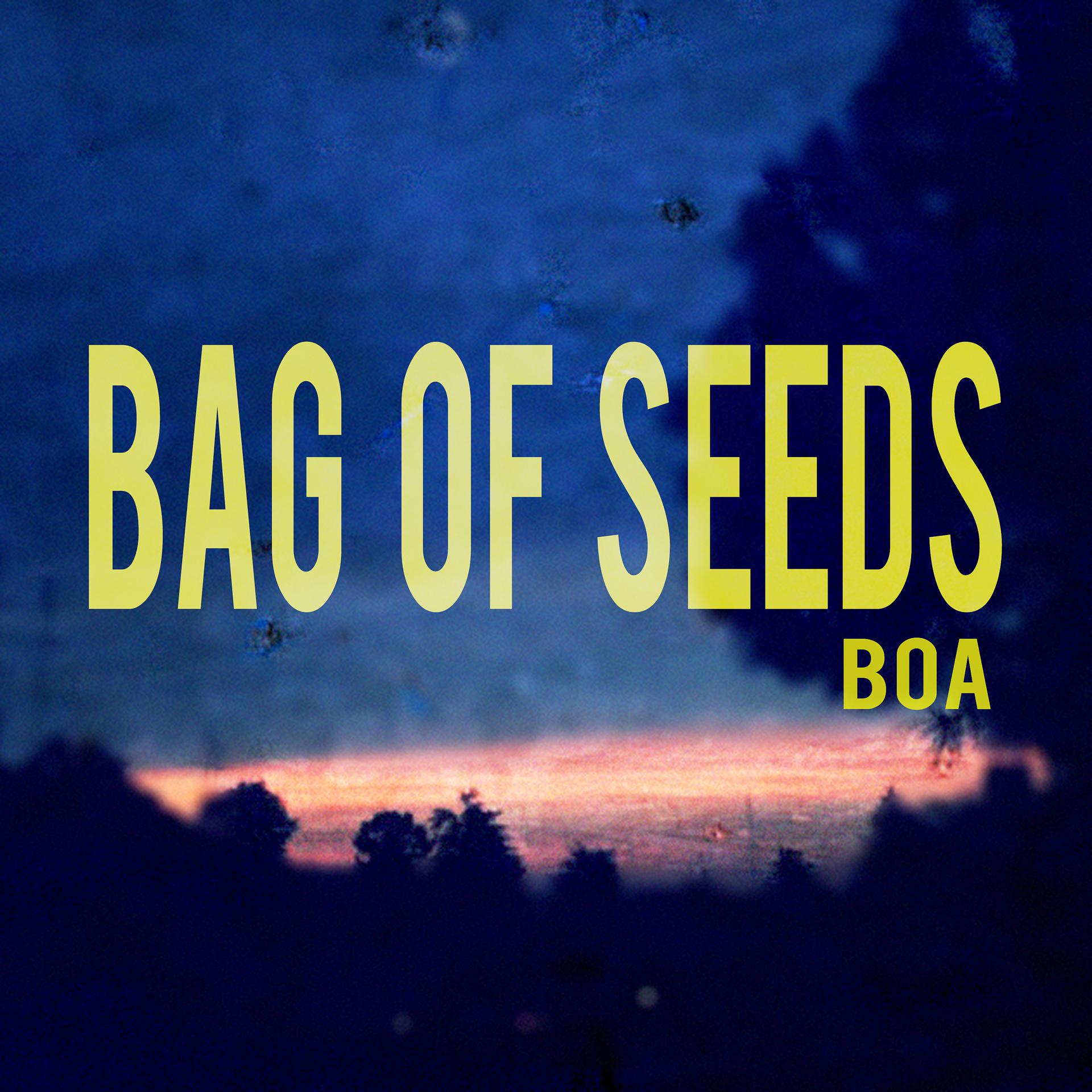 Постер альбома Bag of Seeds