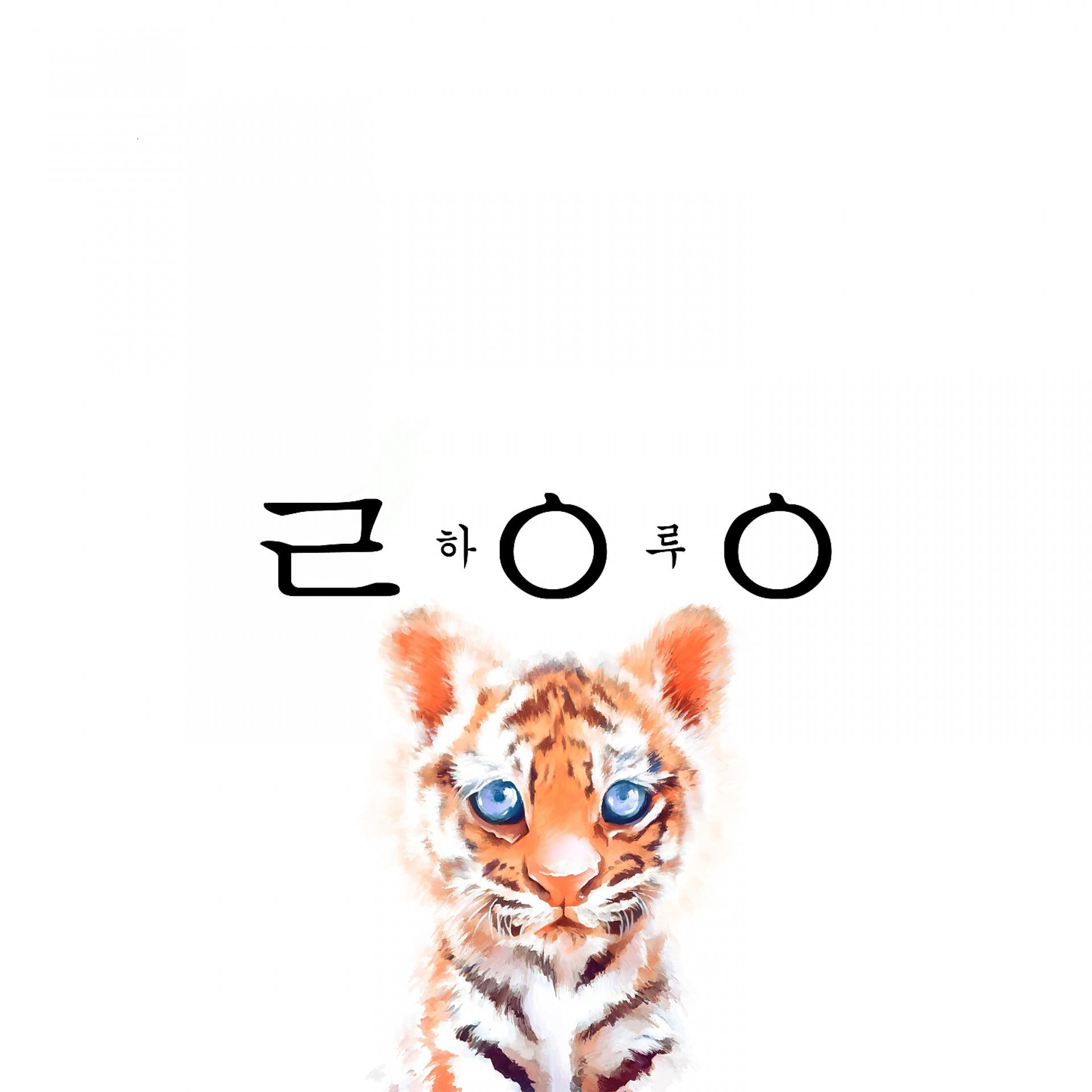 Постер альбома ZOO