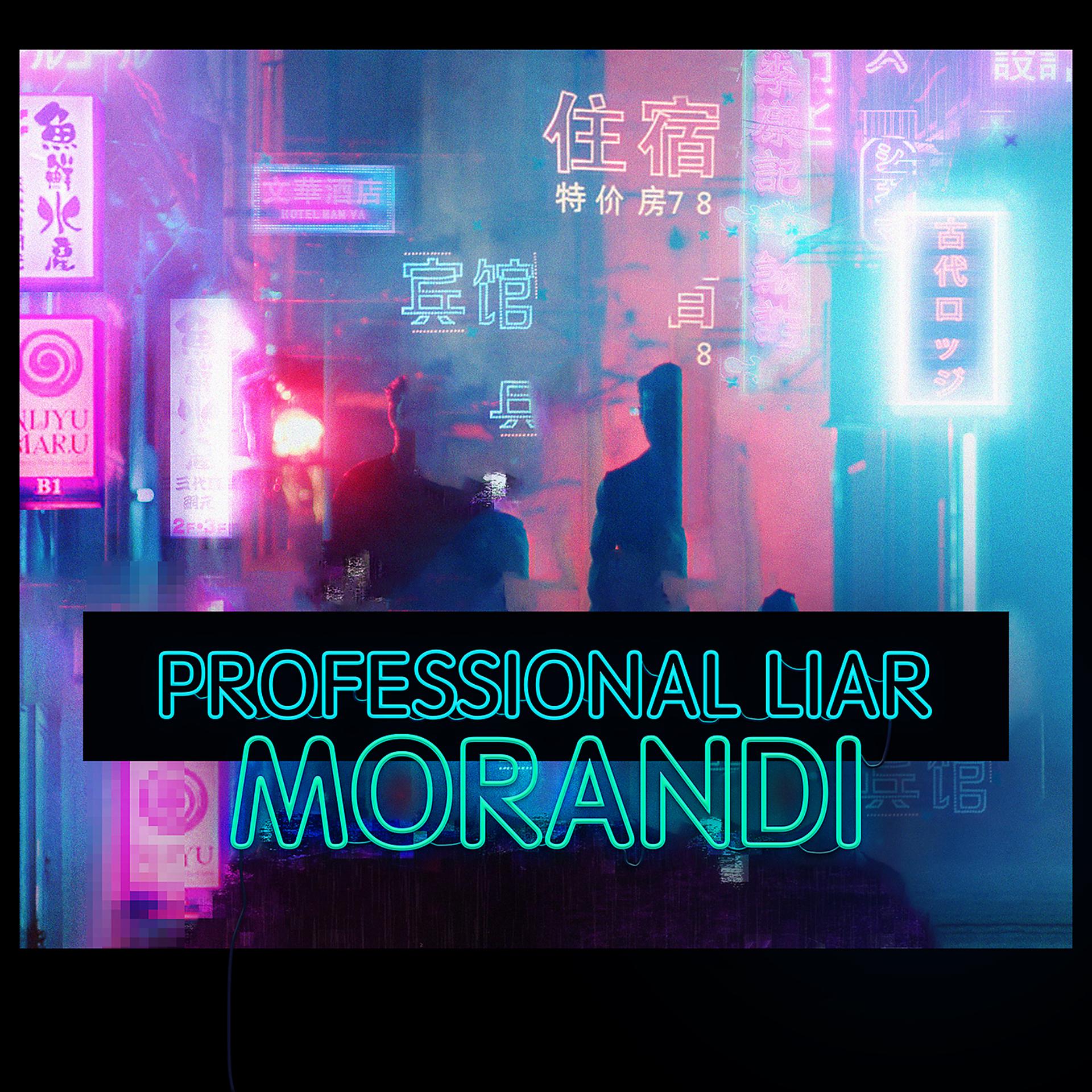 Постер альбома Professional Liar