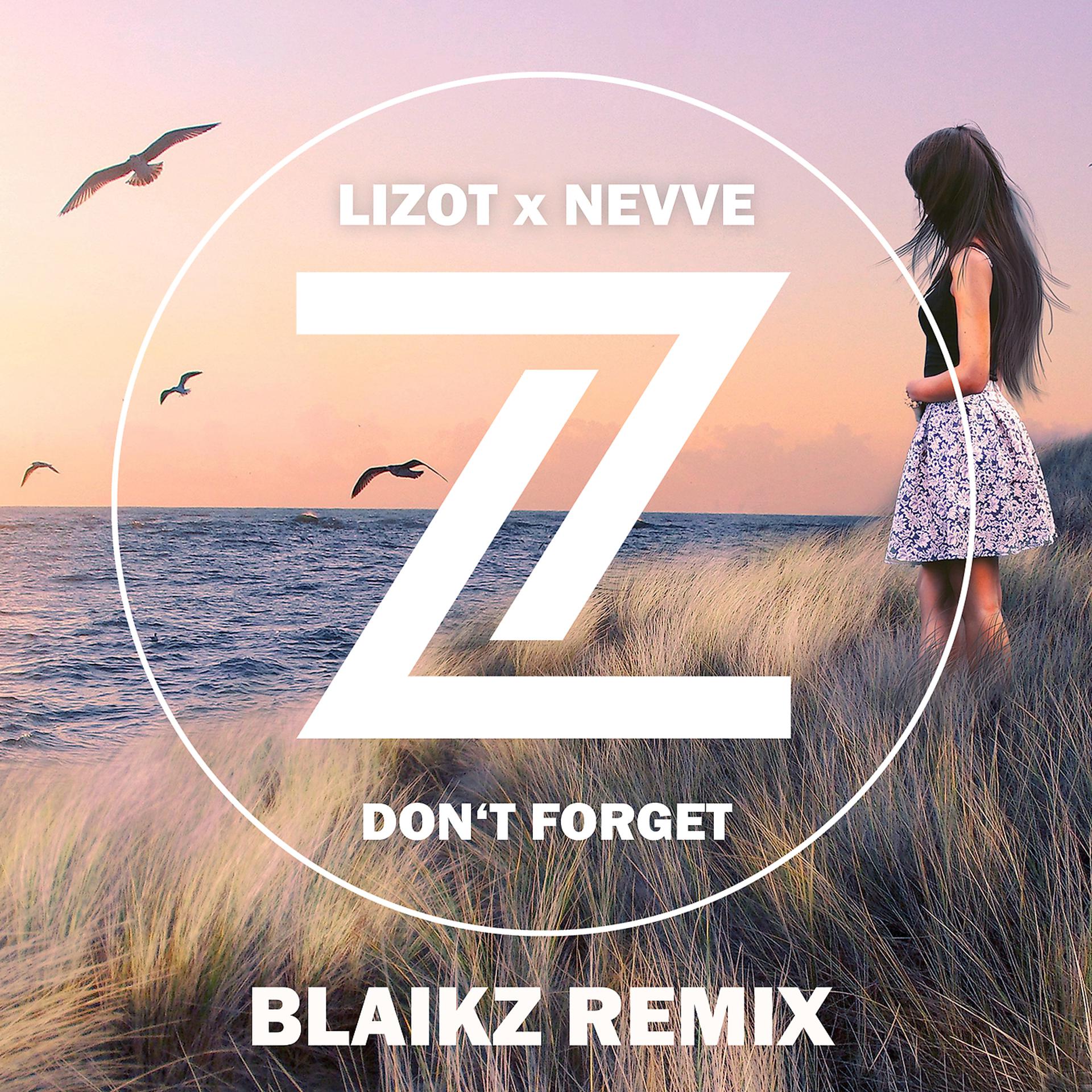 Постер альбома Don't Forget (Blaikz Remix)