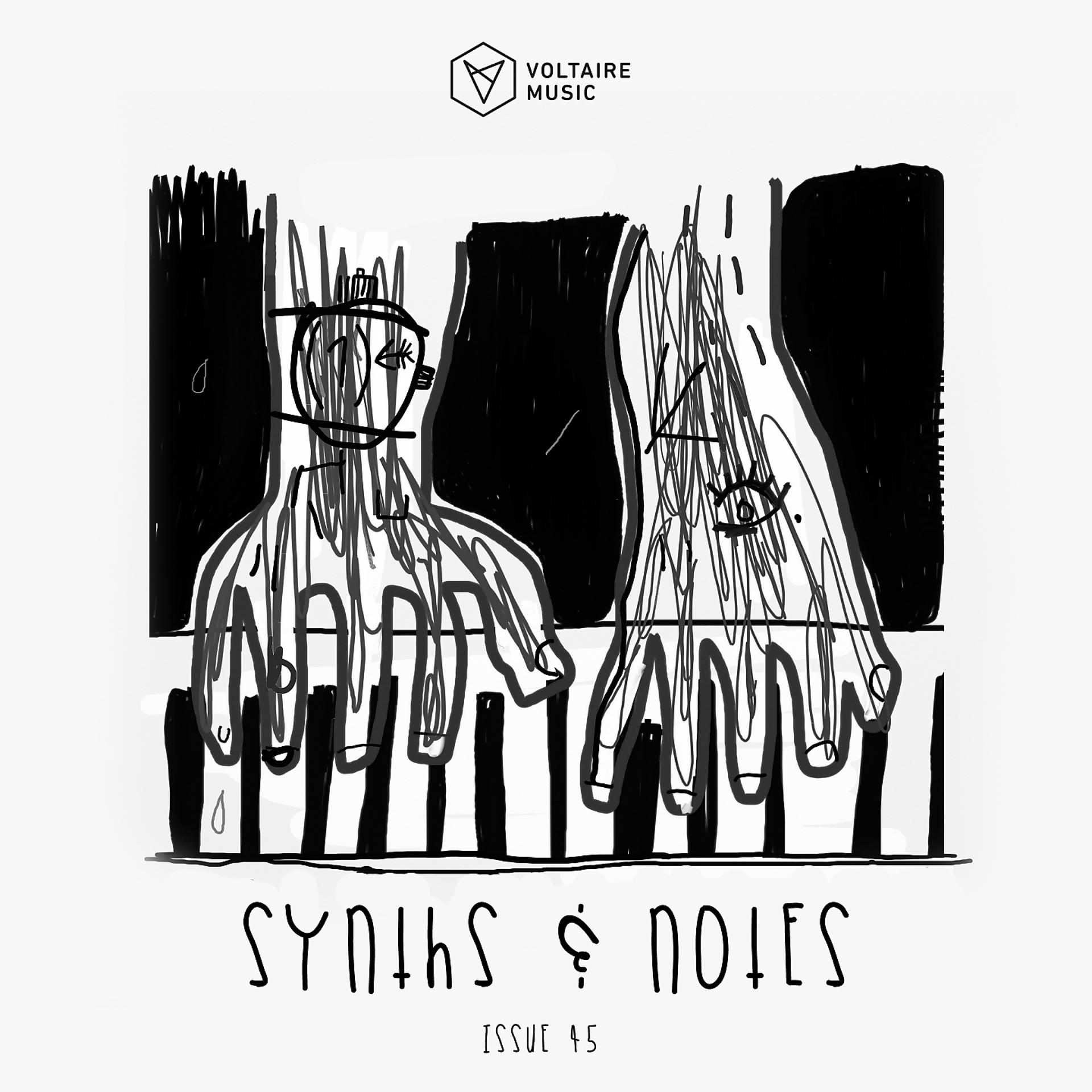 Постер альбома Synths and Notes 45