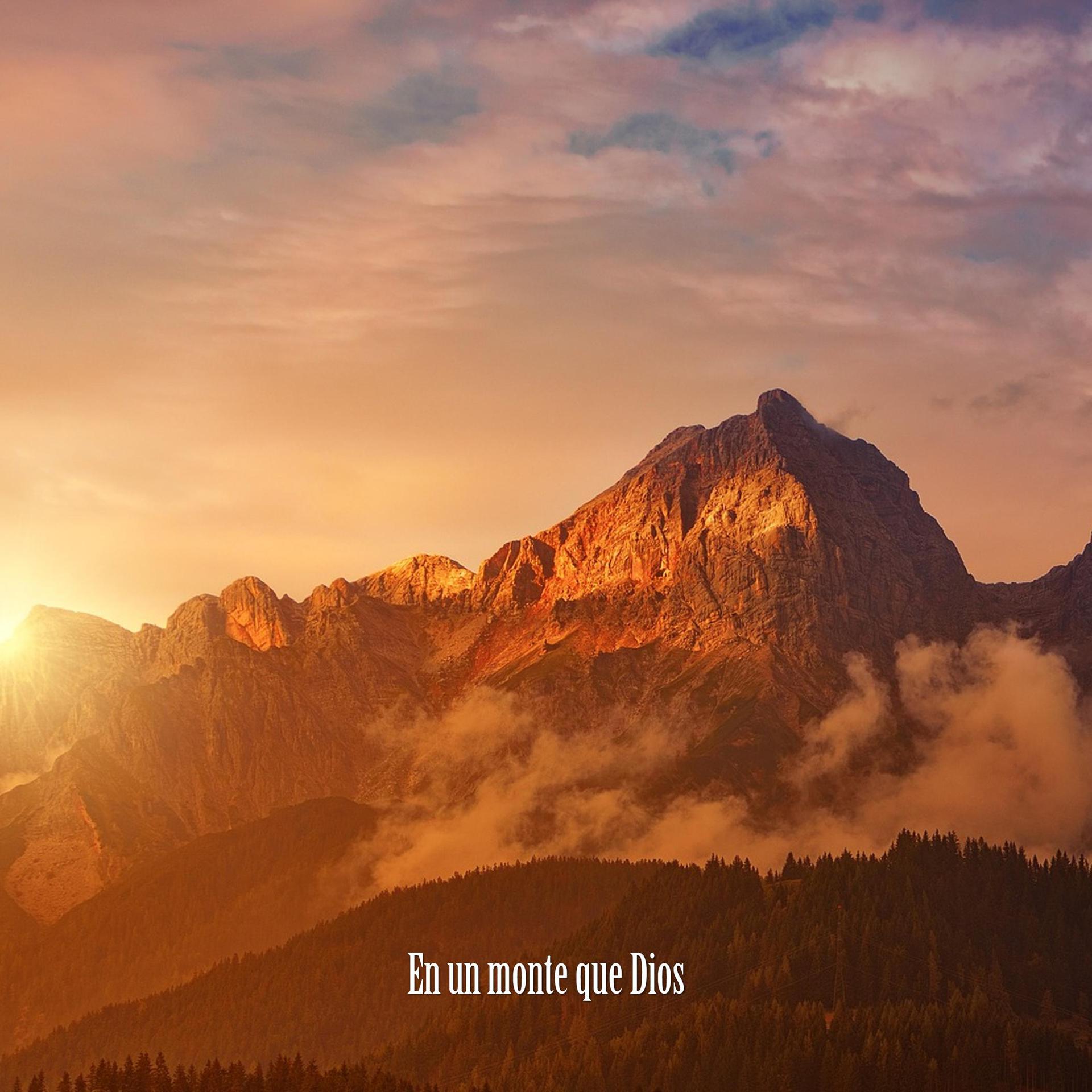 Постер альбома En Un Monte Que Dios