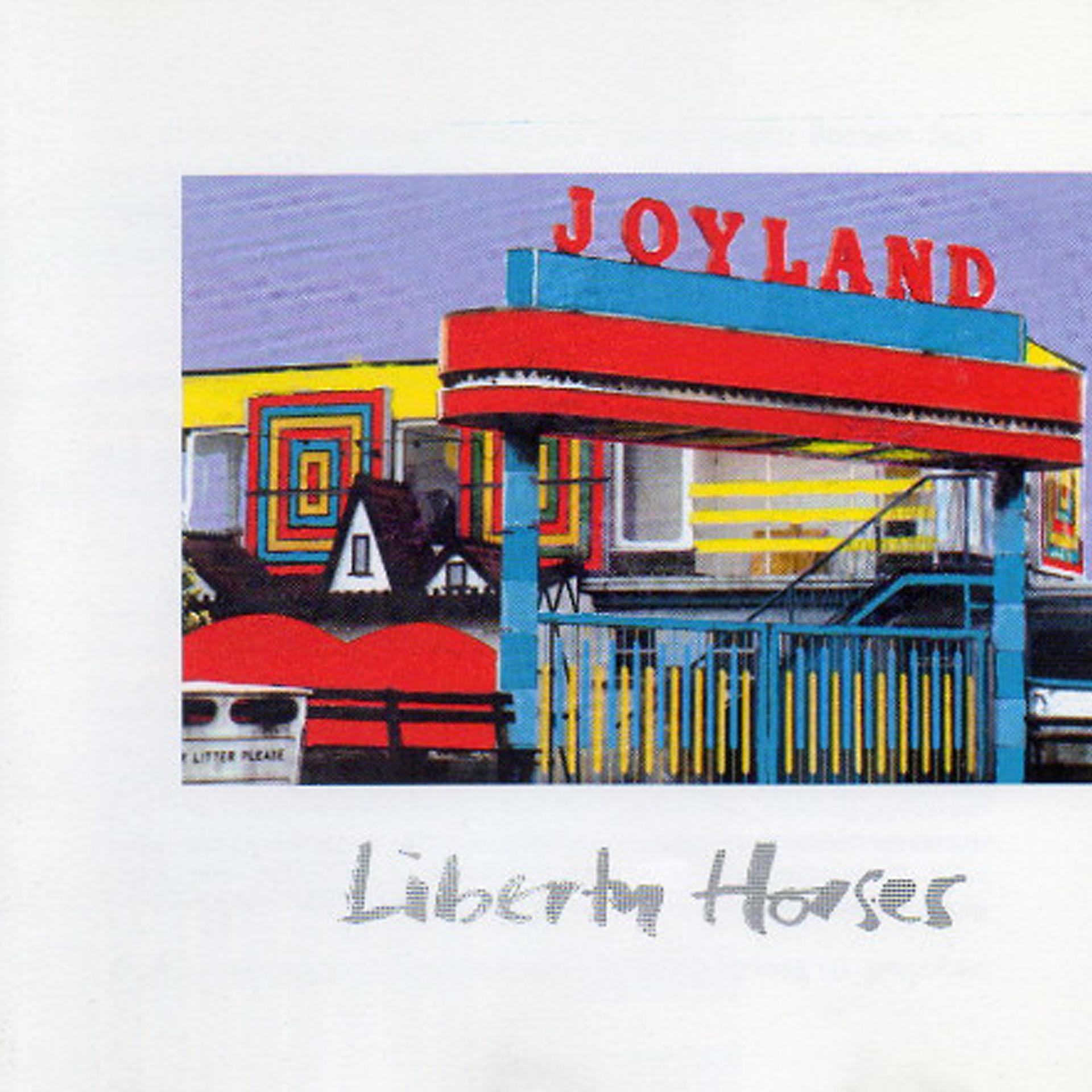 Постер альбома Joyland