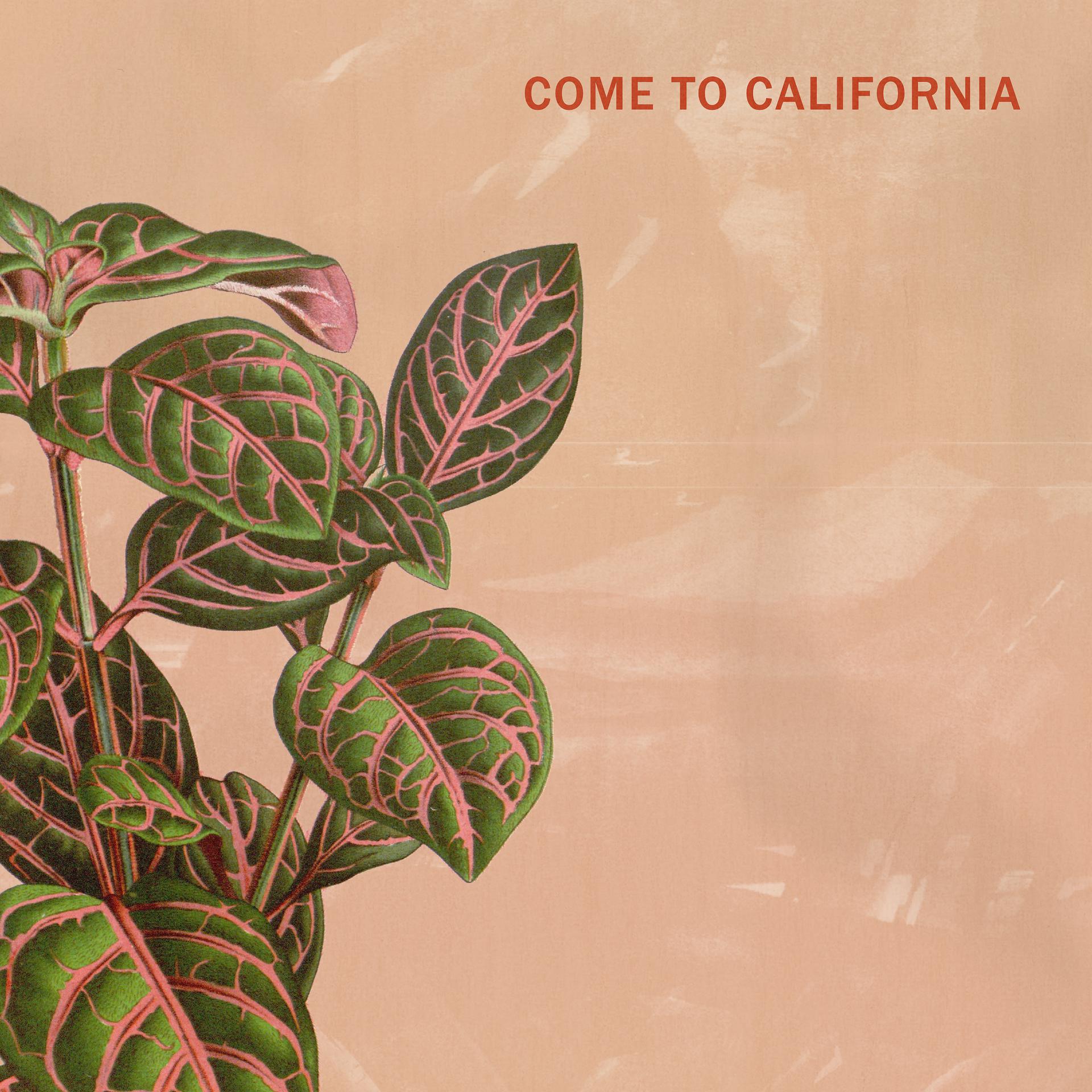 Постер альбома Come to California