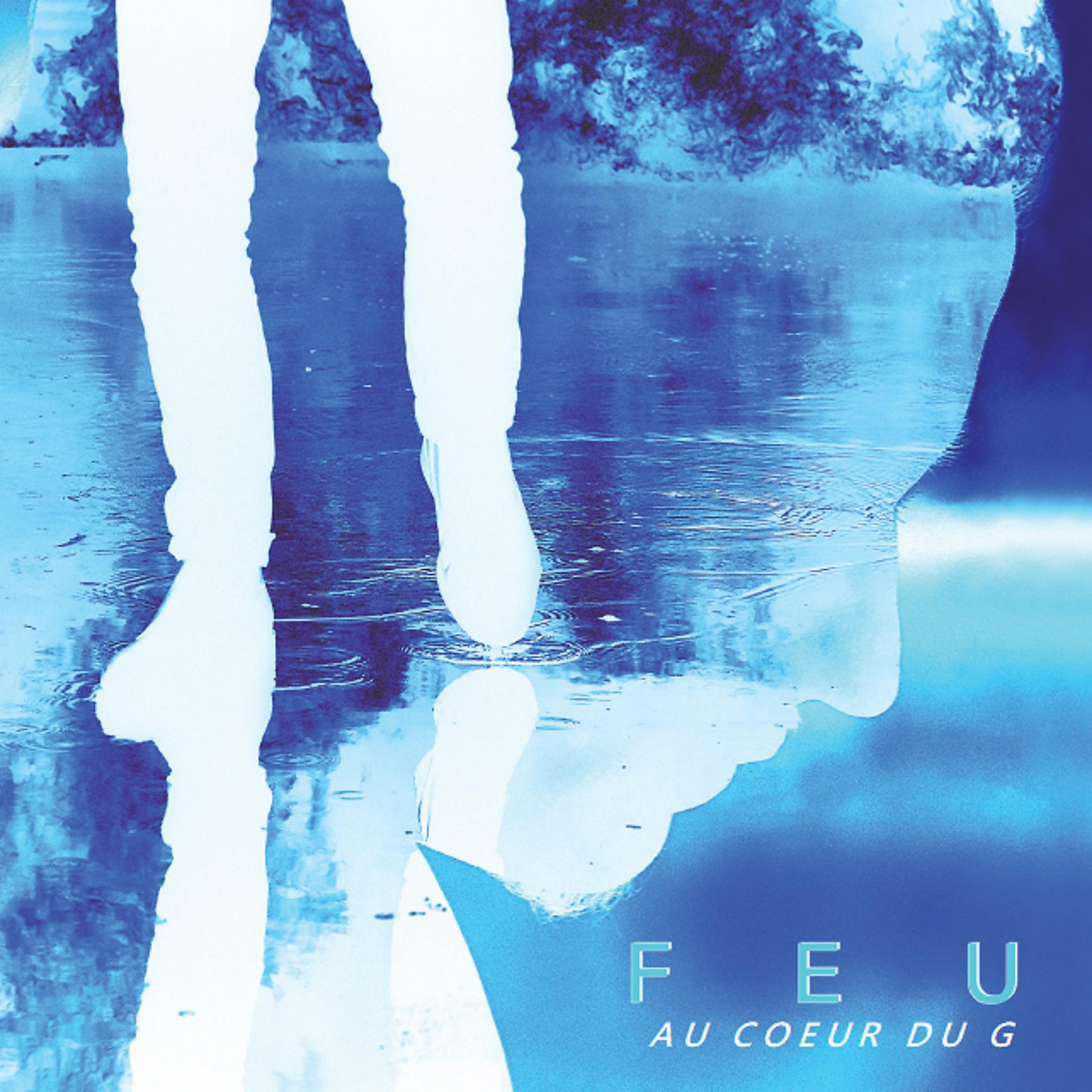Постер альбома Au coeur du G