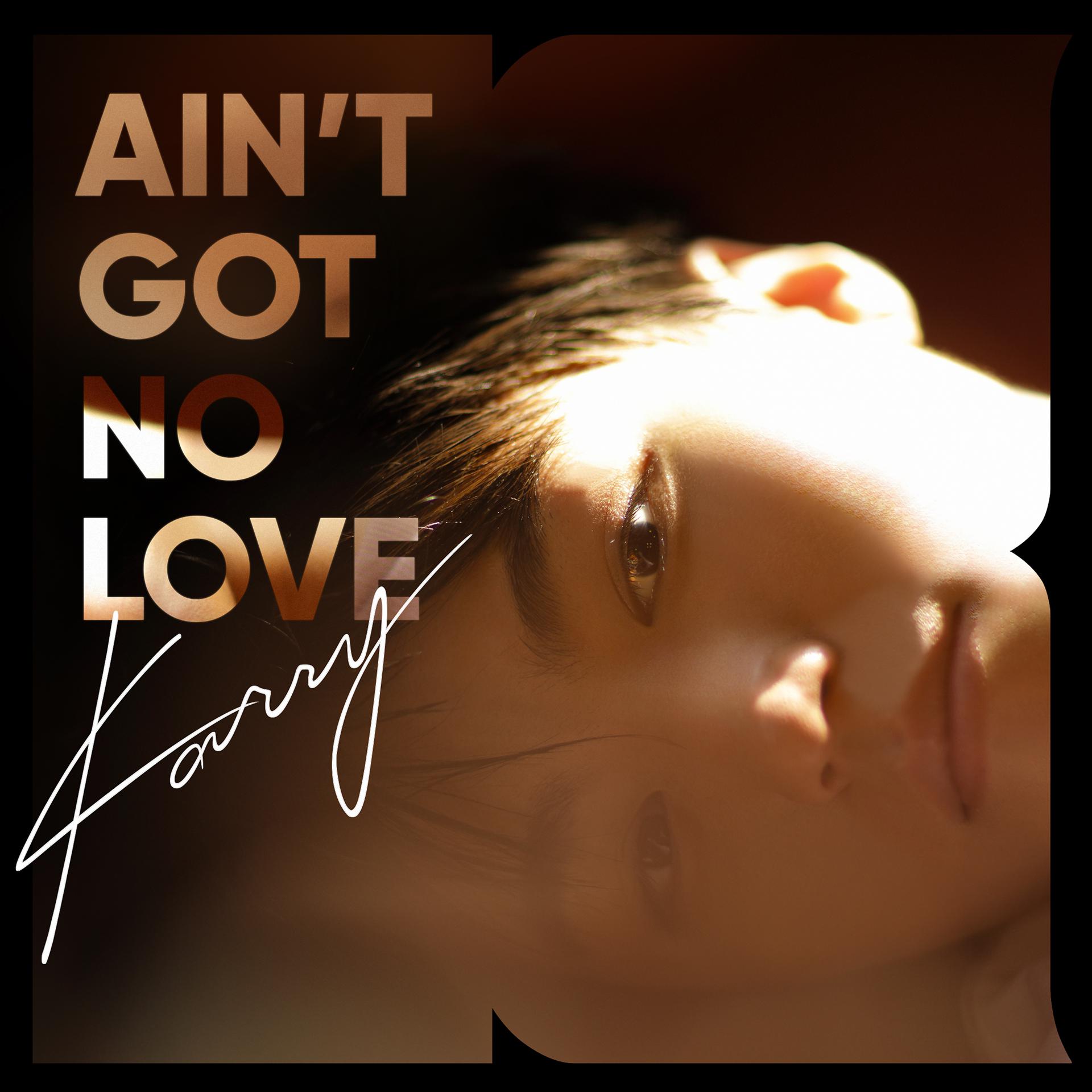 Постер альбома Ain't Got No Love