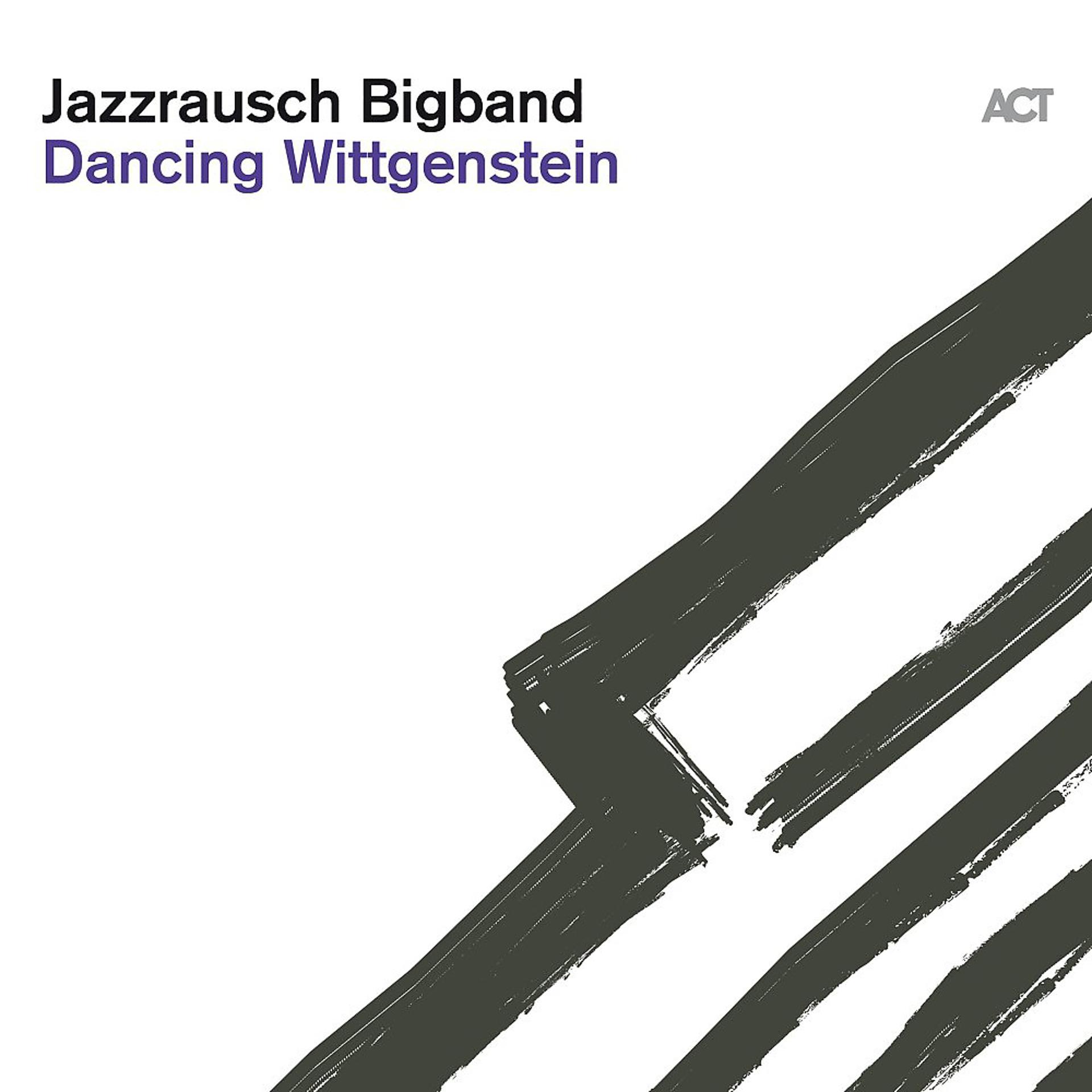 Постер альбома Dancing Wittgenstein