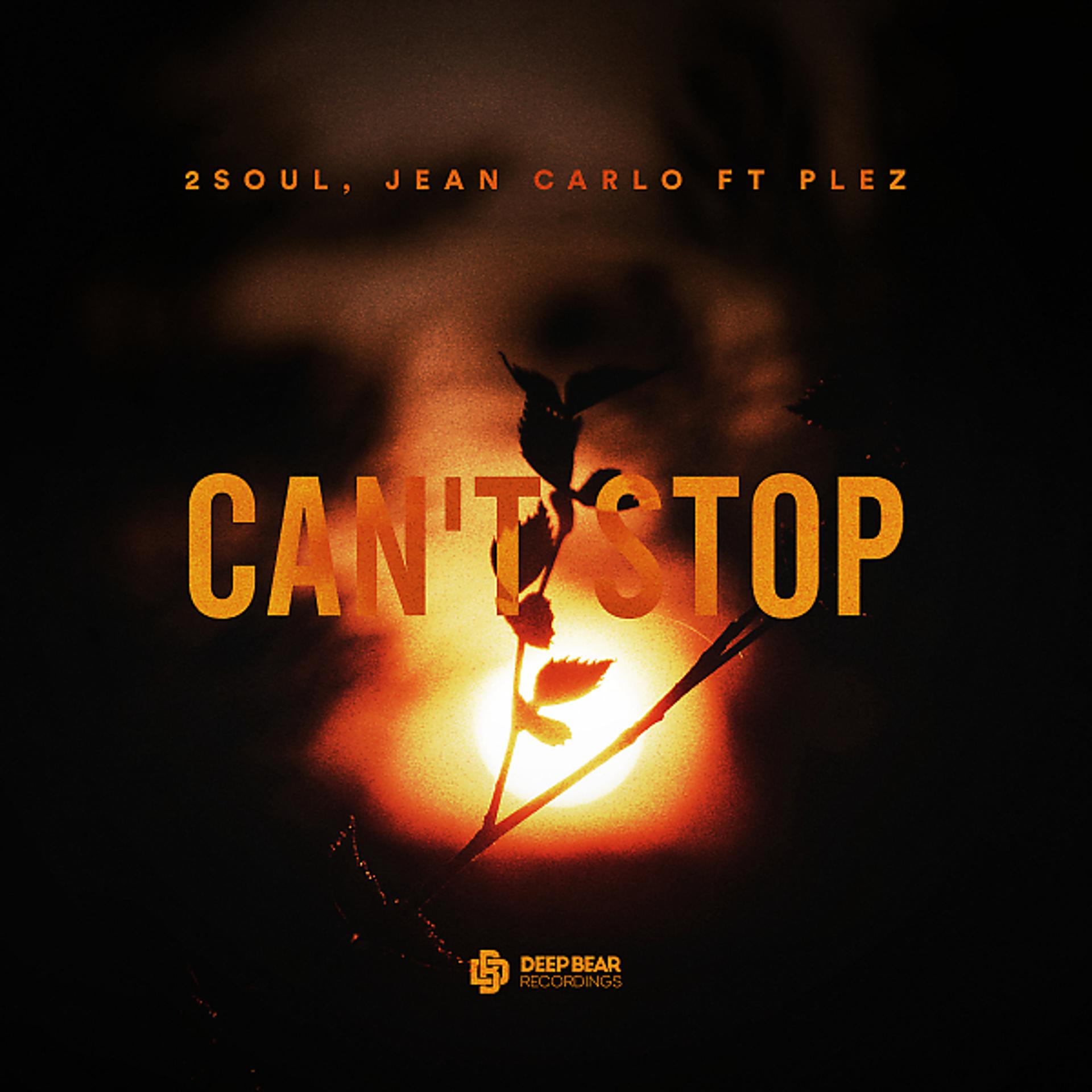 Постер альбома Can't Stop (feat. Plez)