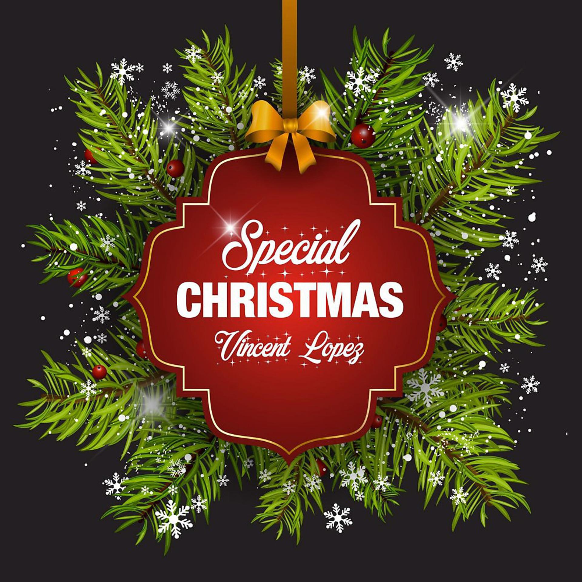 Постер альбома Special Christmas