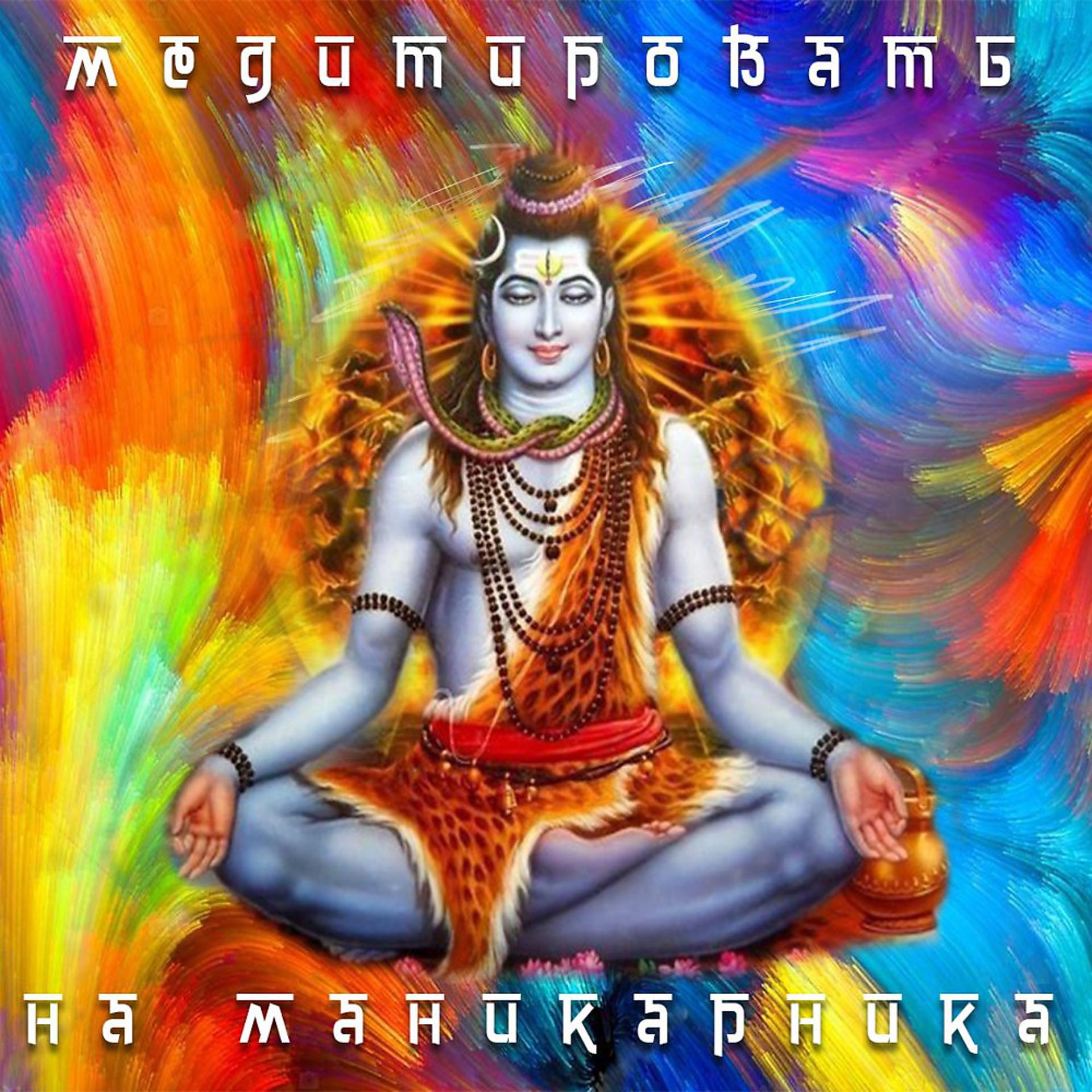 Постер альбома Медитировать на Маникарника
