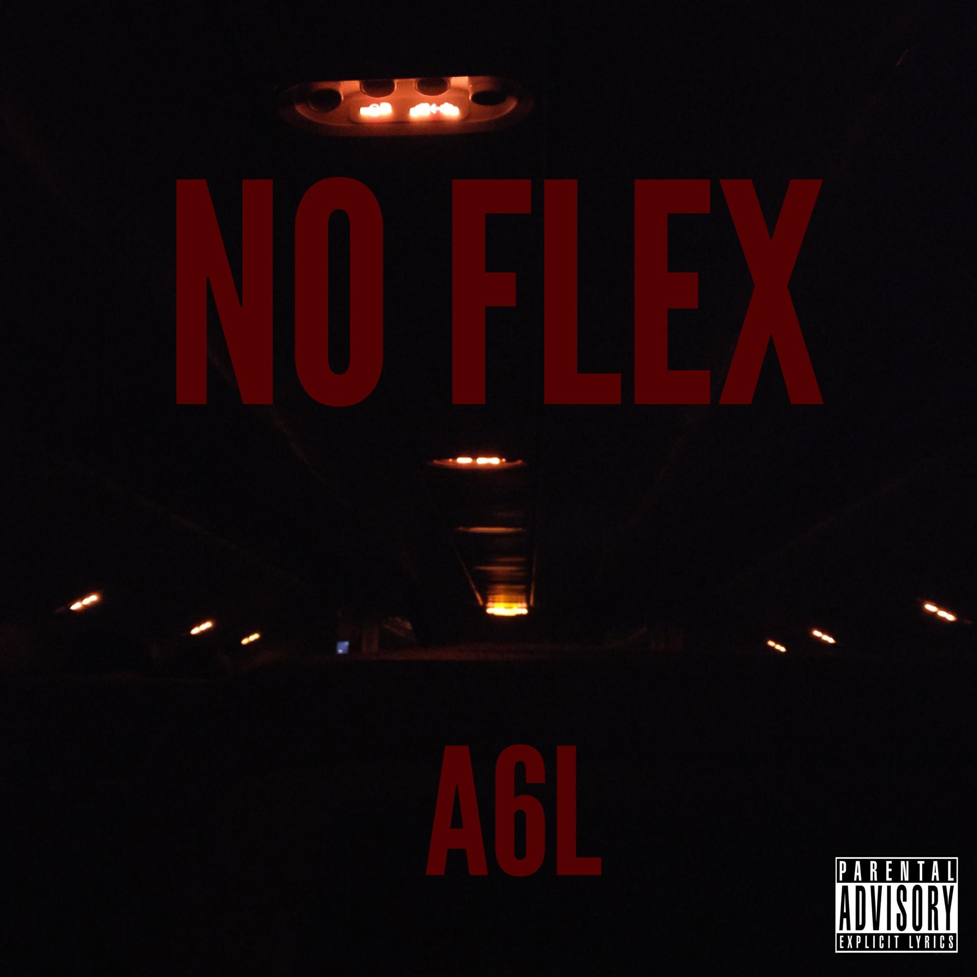 Постер альбома No Flex