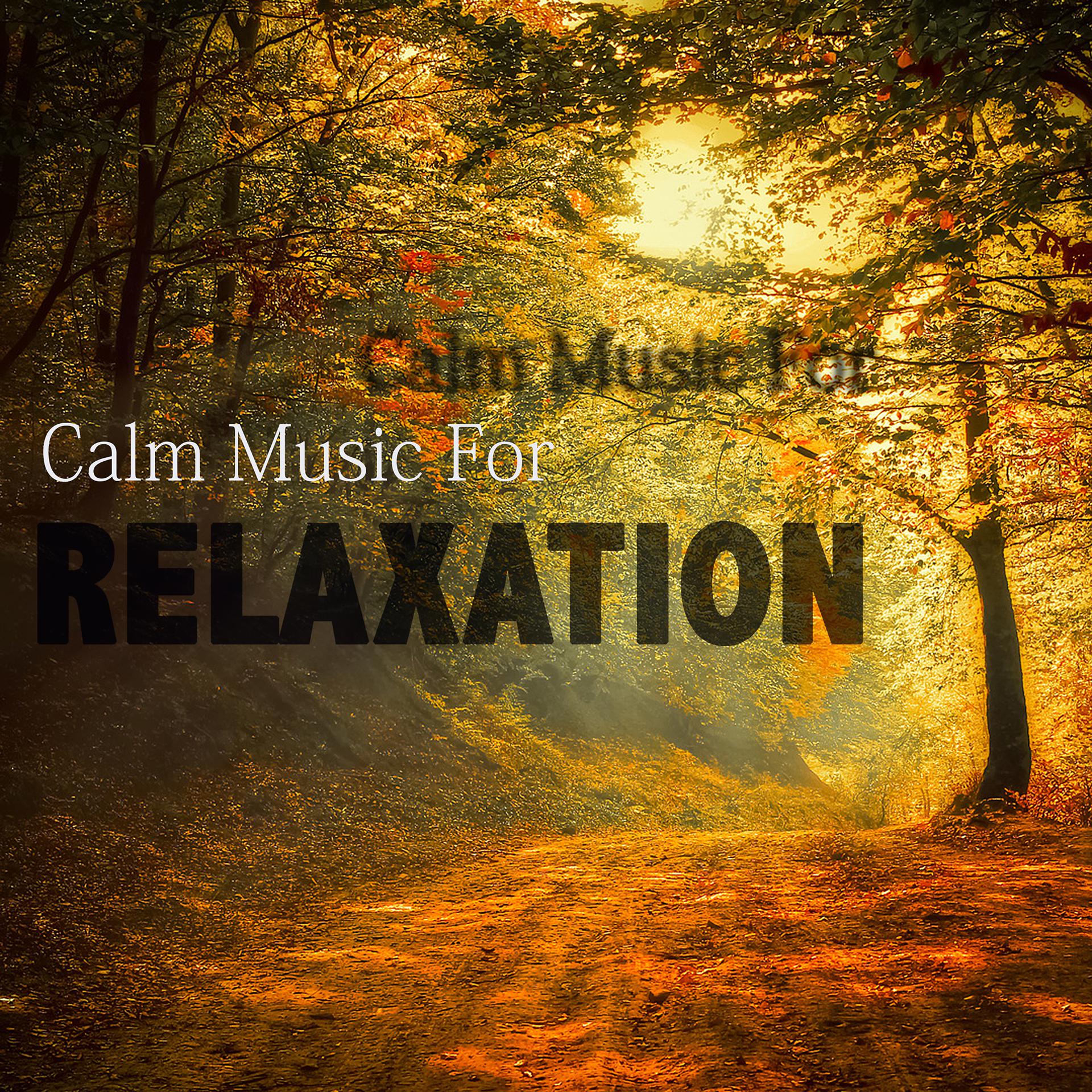 Постер альбома Calm Music for Relaxation