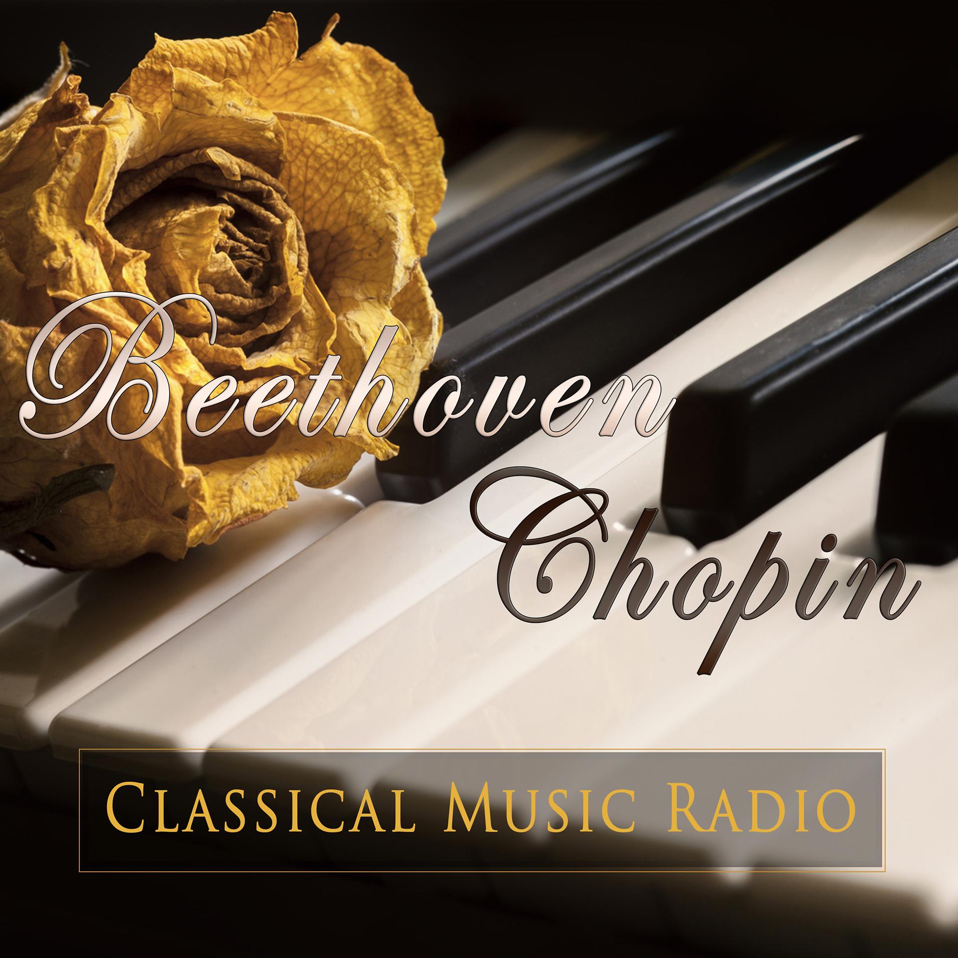 Постер альбома Best Piano Sonatas by Chopin & Beethoven