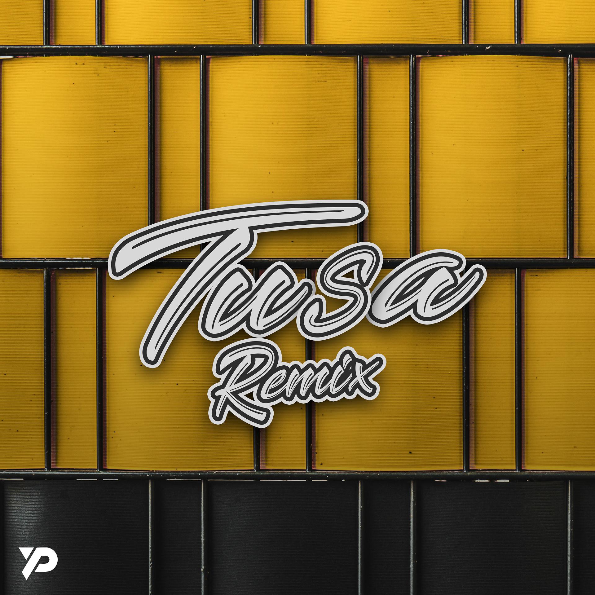 Постер альбома Tusa (Remix)