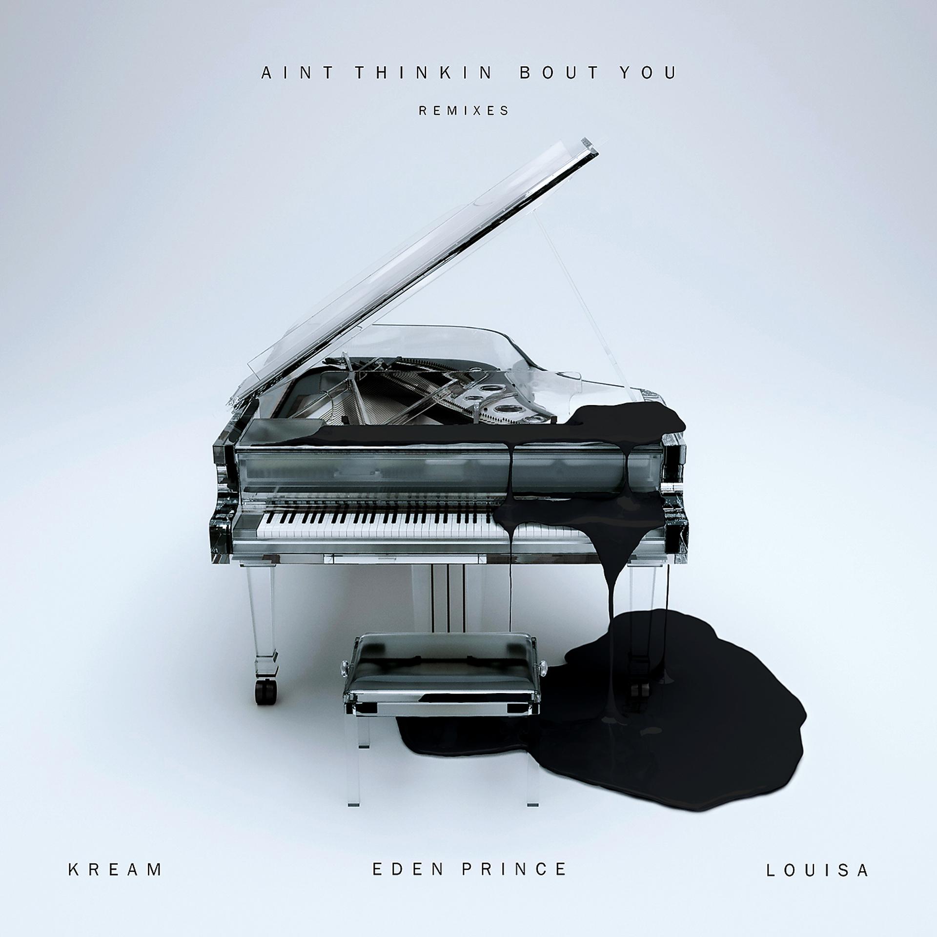 Постер альбома Ain't Thinkin Bout You (feat. Louisa) [Remixes]
