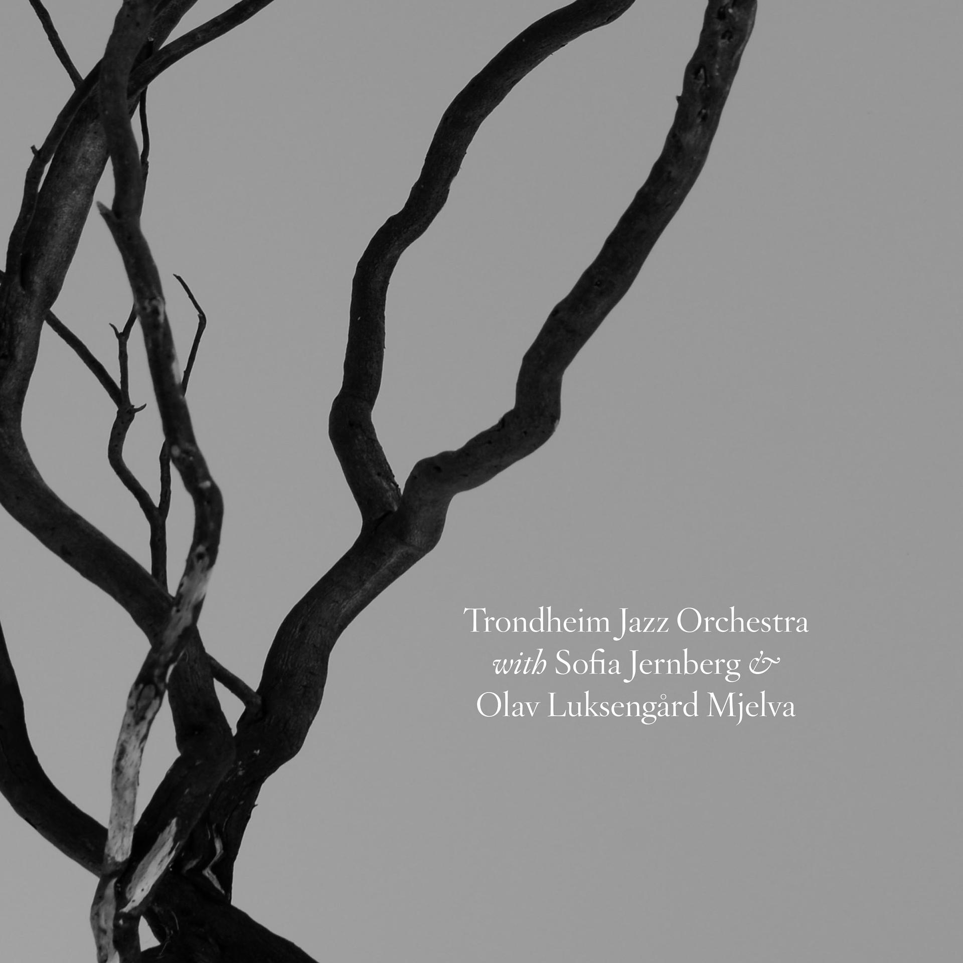 Постер альбома Trondheim Jazz Orchestra with Sofia Jernberg & Olav Luksengård Mjelva