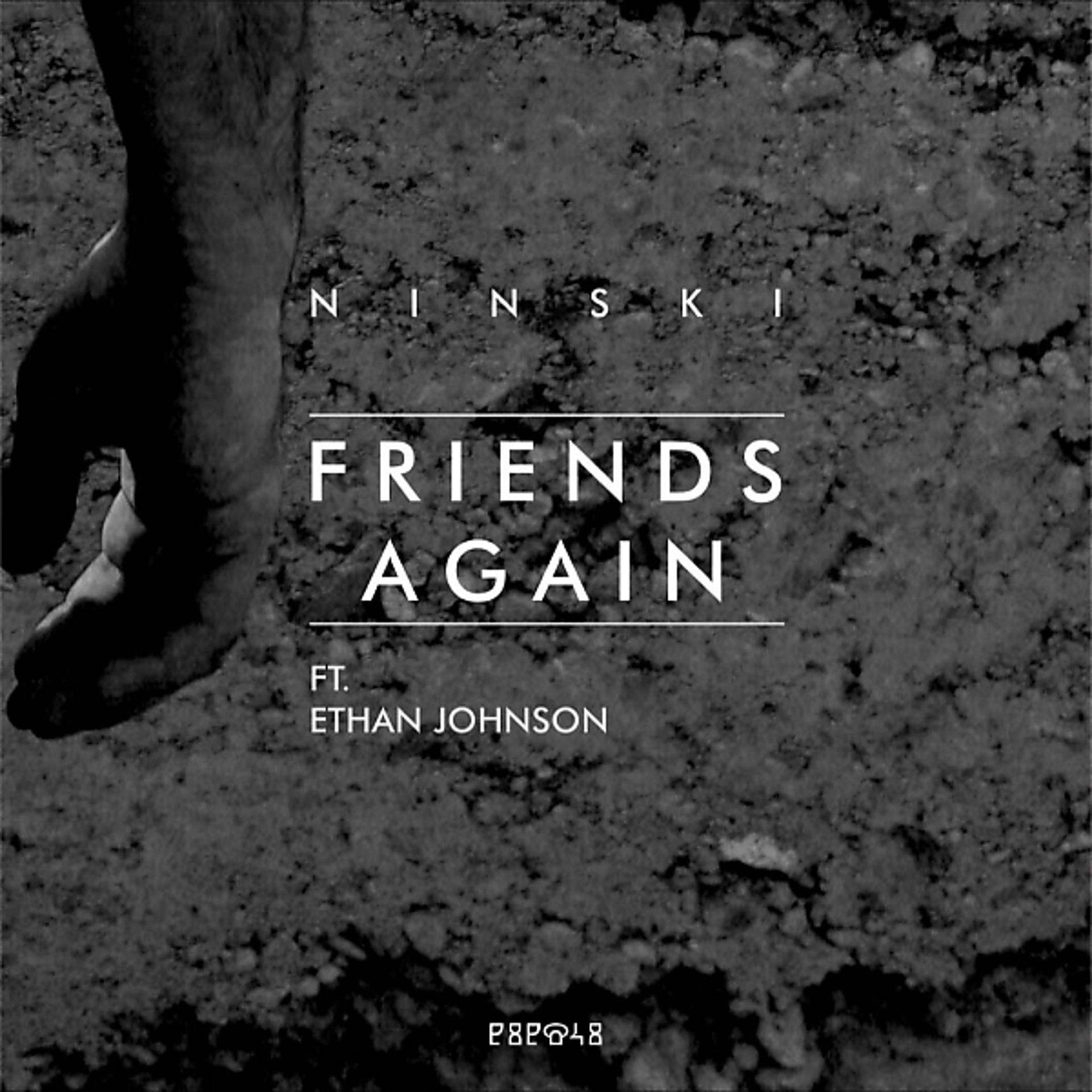 Постер альбома Friends Again (feat. Ethan Johnson)